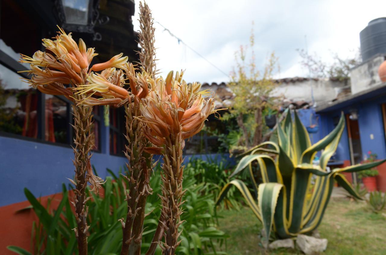 Hostal El Rincon De Los Camellos San Cristóbal de Las Casas Kültér fotó