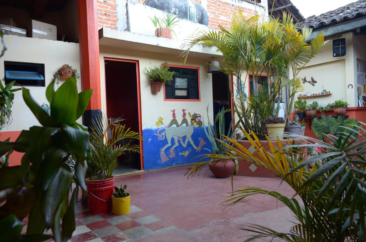 Hostal El Rincon De Los Camellos San Cristóbal de Las Casas Kültér fotó