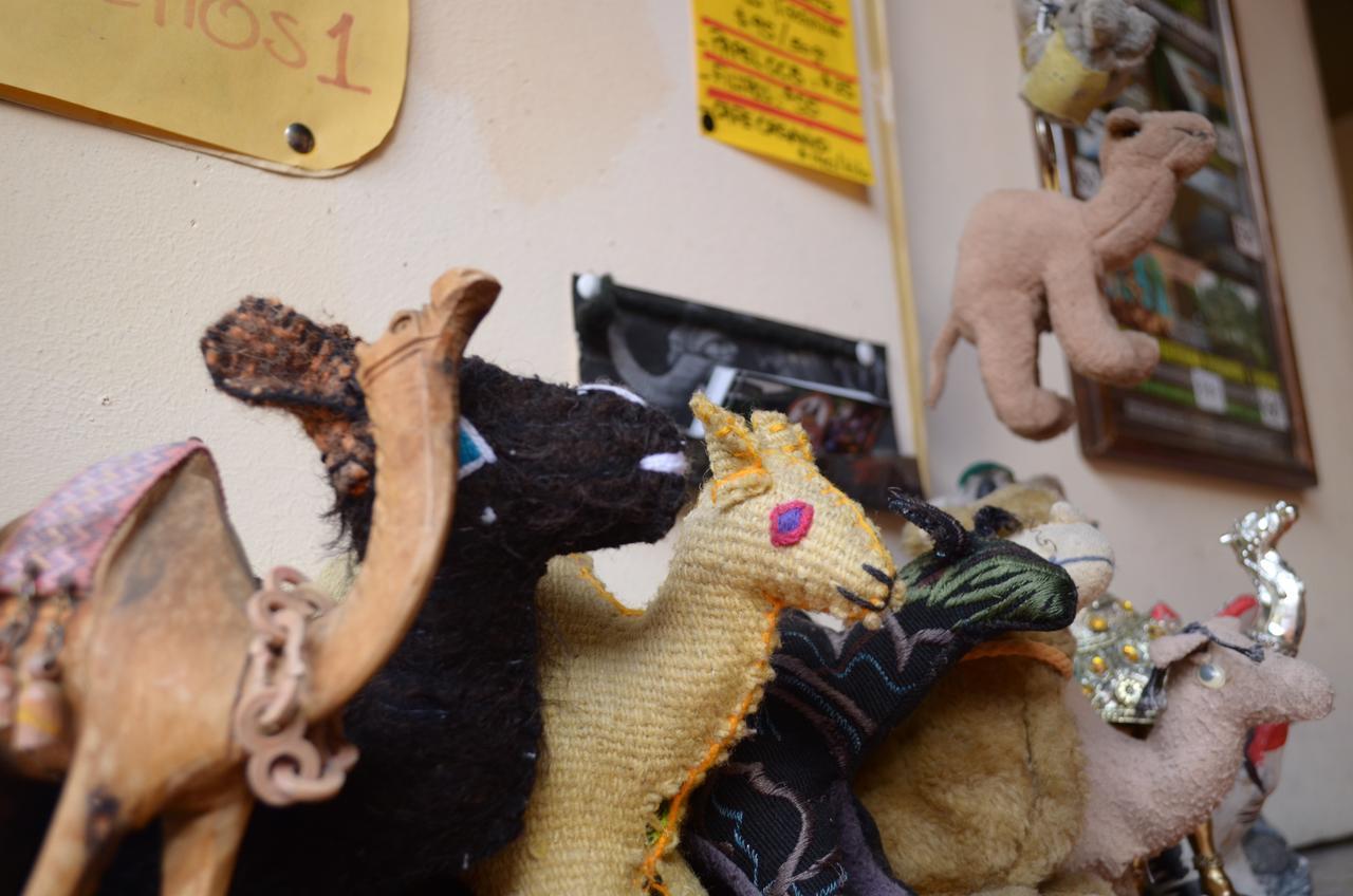 Hostal El Rincon De Los Camellos San Cristóbal de Las Casas Kültér fotó