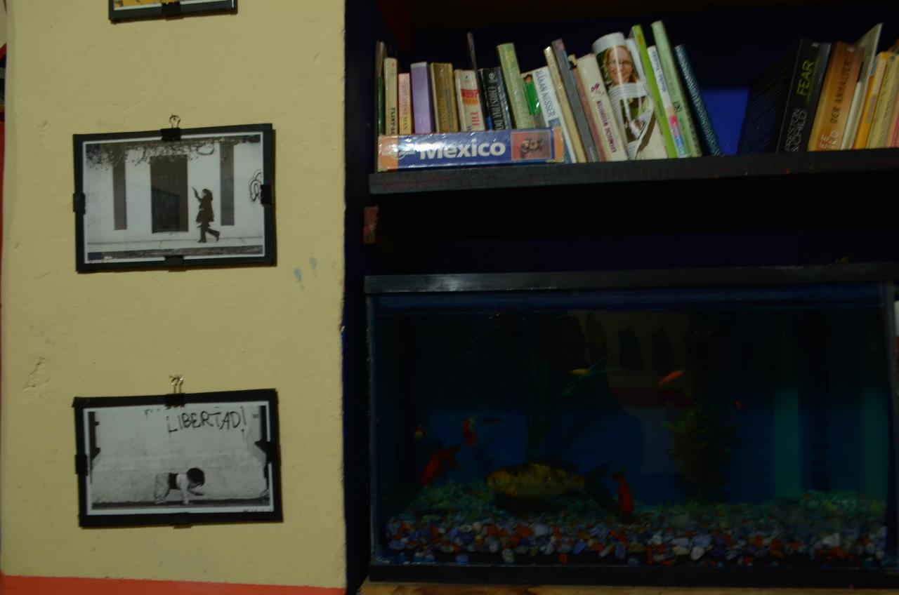 Hostal El Rincon De Los Camellos San Cristóbal de Las Casas Kültér fotó